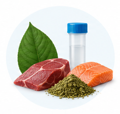 A leaf, meat, fish, dried herbs and a sample tube