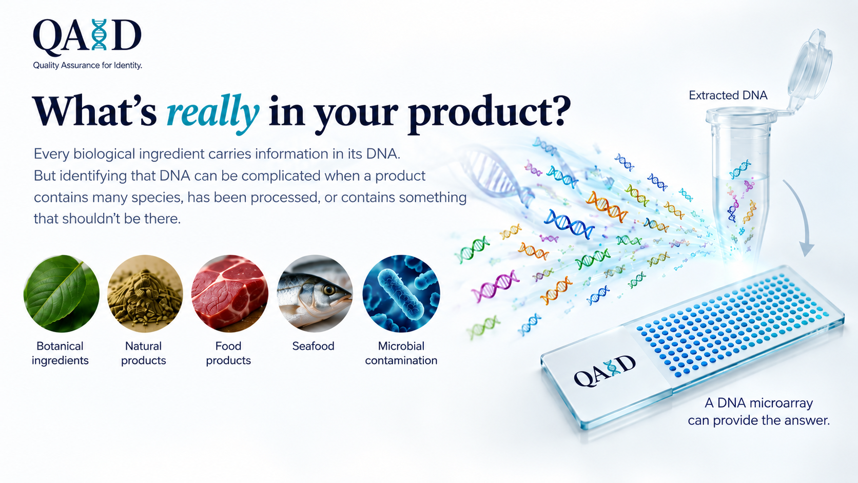 What&rsquo;s really in your product? Every biological ingredient carries information in its DNA, but identifying it is complicated when a product contains many species, has been processed, or contains something that shouldn&rsquo;t be there. Botanical ingredients, natural products, food products, seafood and microbial contamination: extracted DNA on a DNA microarray can provide the answer.